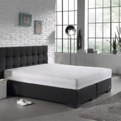 MOLTON BASIC LINE