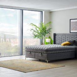 Alternative view of Visco Fresh